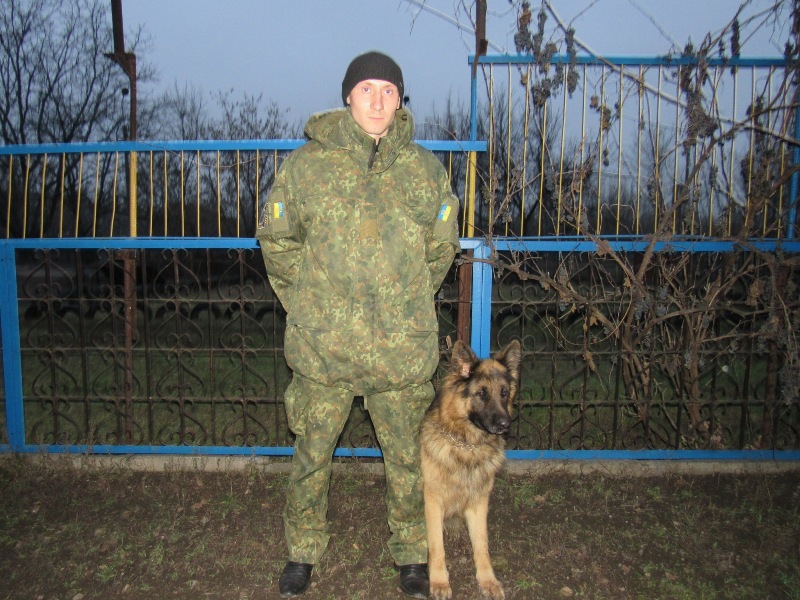 kramatorsk sobaki