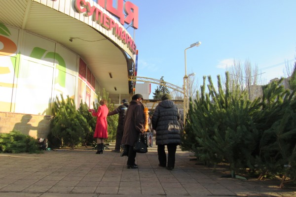 kramatorsk yolki