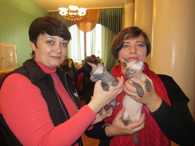 vistavka koshek kramatorsk 1