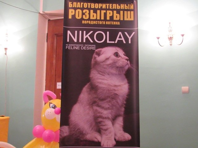 vistavka koshek kramatorsk 2