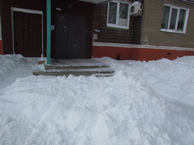sneg zanosy 11