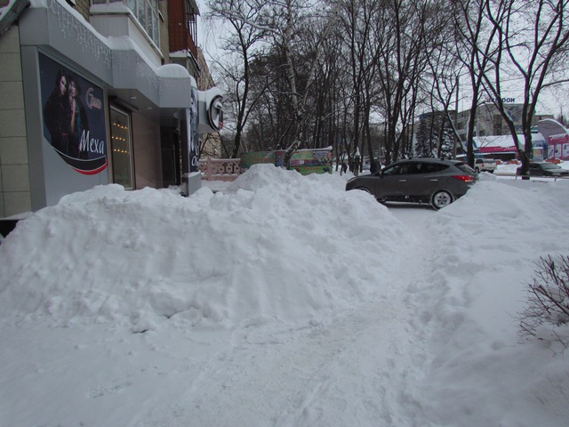 sneg zanosy 13