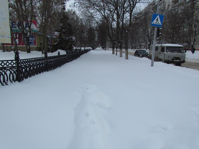 sneg zanosy 5