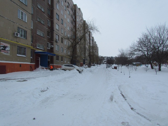 sneg zanosy 7