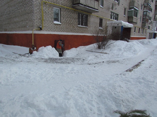 sneg zanosy 8