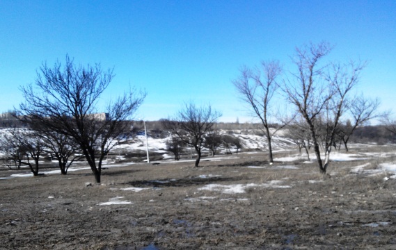 kramatorsk ozelenyat 2