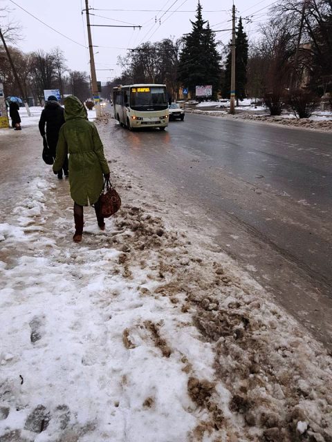 trollejbus 6