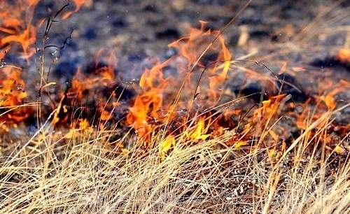 trava fire