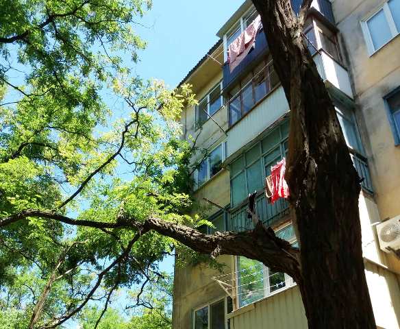 padajushaja vetka kramatorsk 1