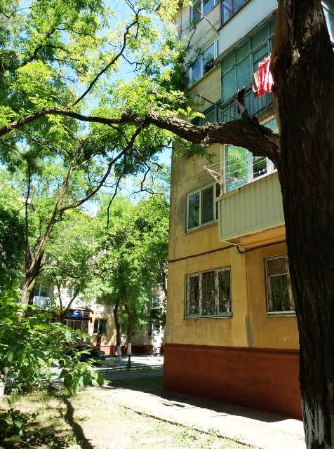 padajushaja vetka kramatorsk 2