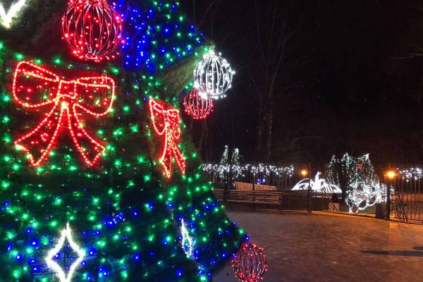 kramatorsk sad bernackogo 29december