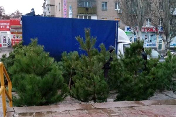 v kramatorske nachali prodavat elki.jpg1
