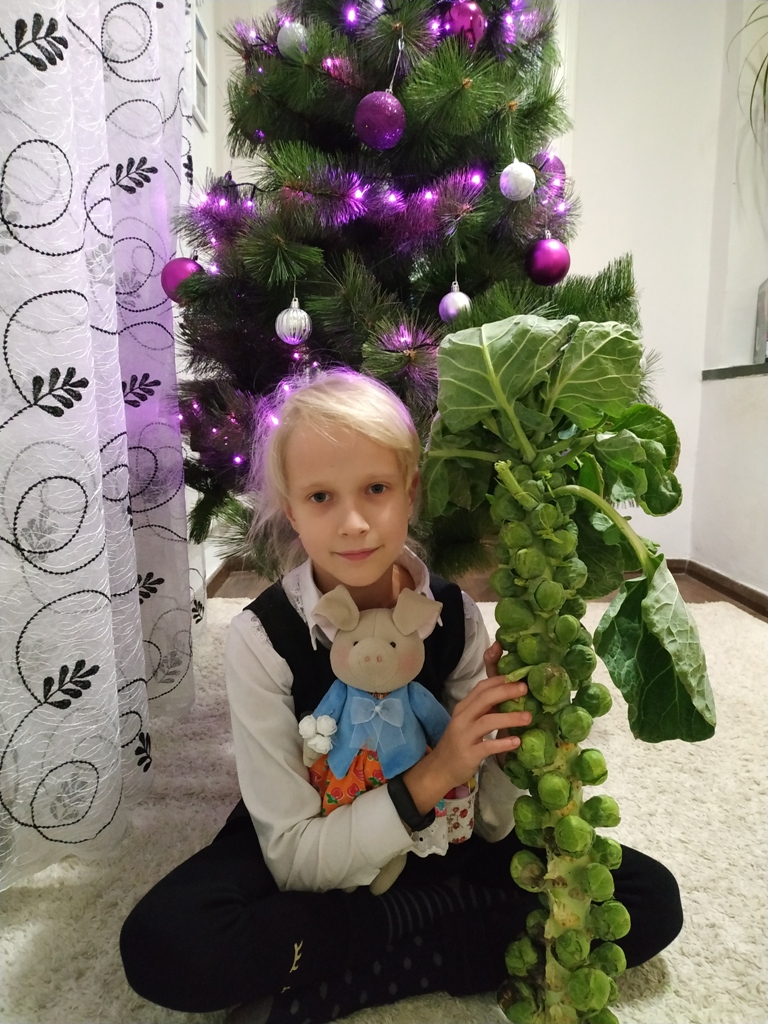 IMG 20191212 170131