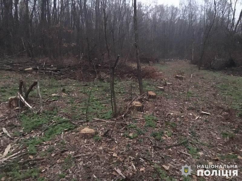 Kramatorsk pravoohraniteli zaderzhali ocherednogo lesoruba 2