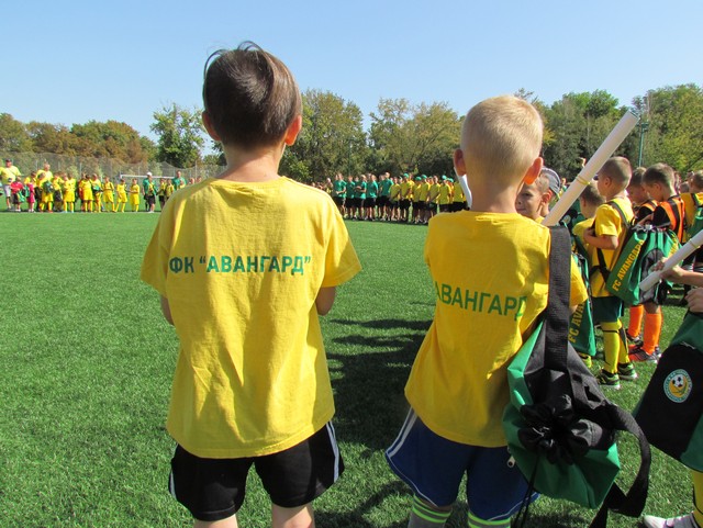 avangard 10