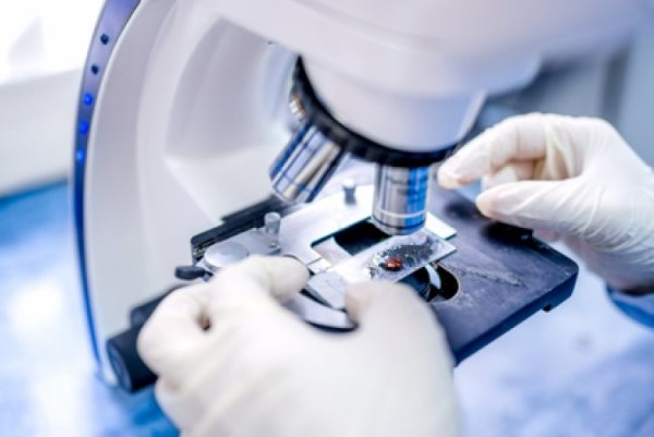 prava pacientov na diagnostiku