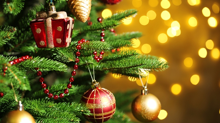 5be44ae60015e christmas tree today tease 1 151201 dd6ec0167e769c87de32fd740c83f70a