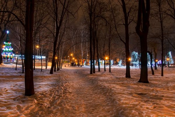 sad bernackogo kramatorsk 07