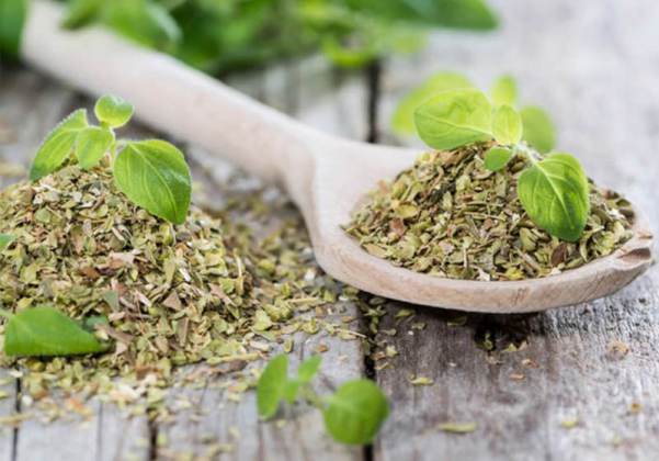 oregano