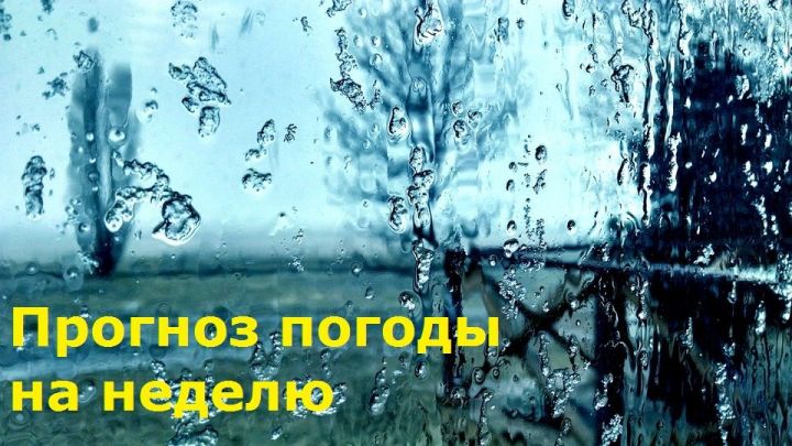 172801ed2b541ad955660698b2367e11