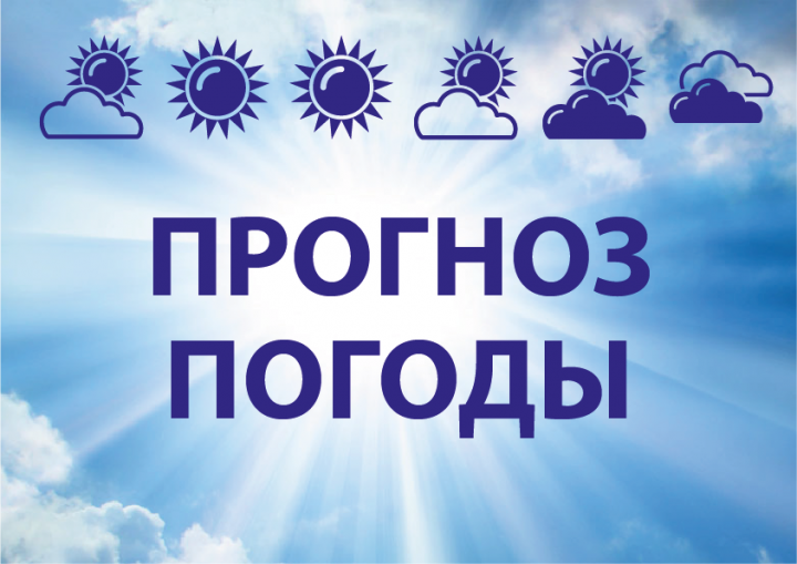 1562828045 zastavka 02 2
