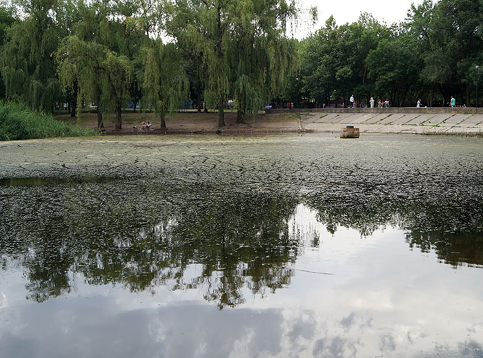 ozero1