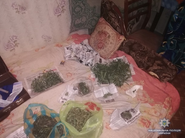 V Kramatorske policejskie vyehali na skandal a nashli posevy konopli 2