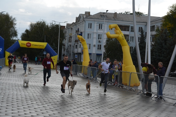 kramatorsk dog big