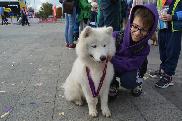 kramatorsk dog nag miasoied