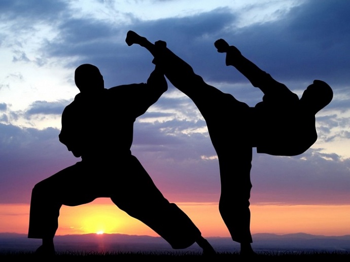 karate kramatorsk