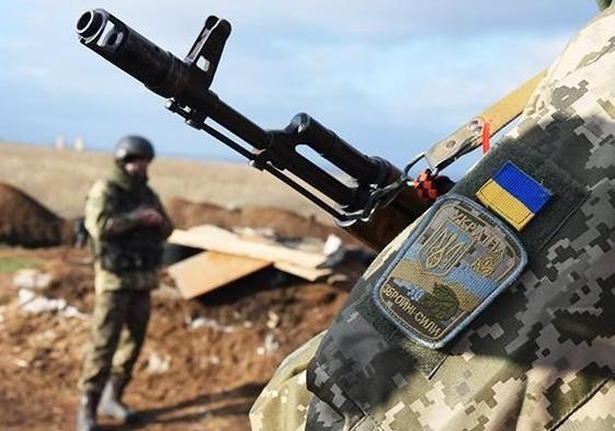 24429773