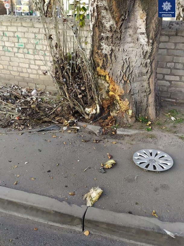 V Kramatorske pjanaja zhenshhina voditel protaranila derevo 1