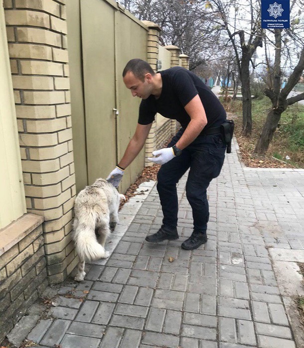 V Kramatorske policejskie spasli sobaku upavshuju v otkrytyj kolodec 4