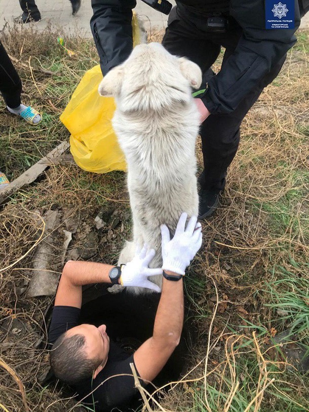 V Kramatorske policejskie spasli sobaku upavshuju v otkrytyj kolodec 5