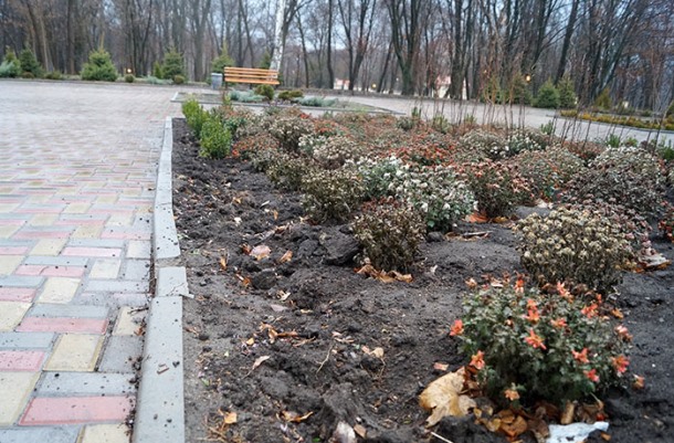 park1