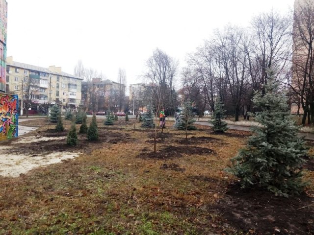 derevja kramatorsk 12