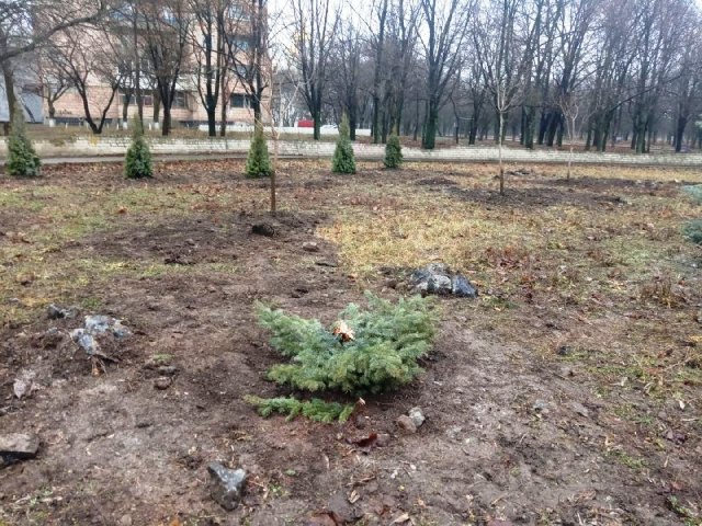 derevja kramatorsk 15