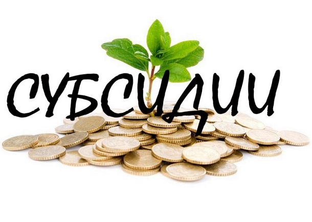 Pravila nachislenija subsidij dlja zhitelej Kramatorska na vremja karantina