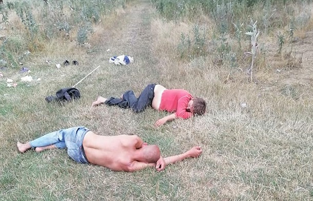 V Kramatorske ot usnuvshih pastuhov ubezhali korovy i kozy 4