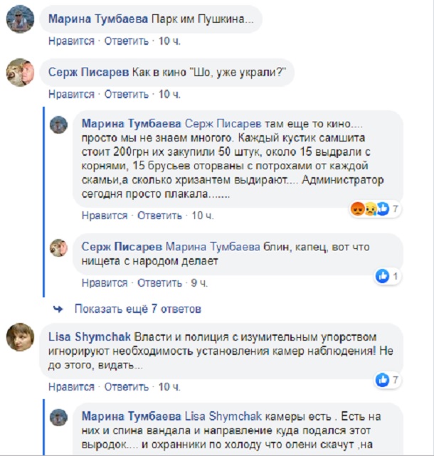 V Kramatorske v parke Pushkina srubili elki 10