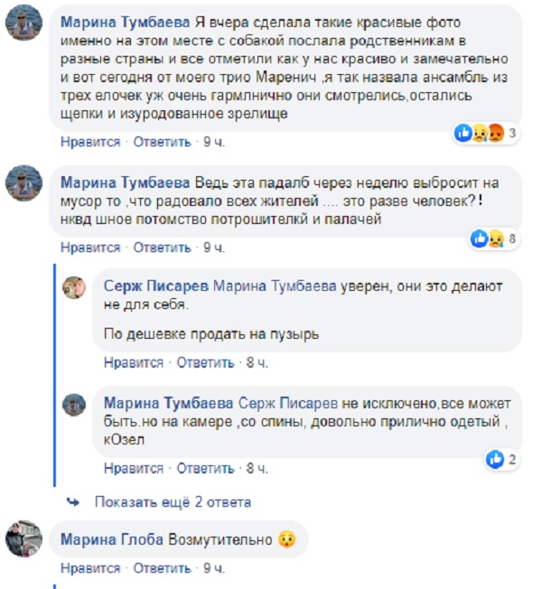 V Kramatorske v parke Pushkina srubili elki 9