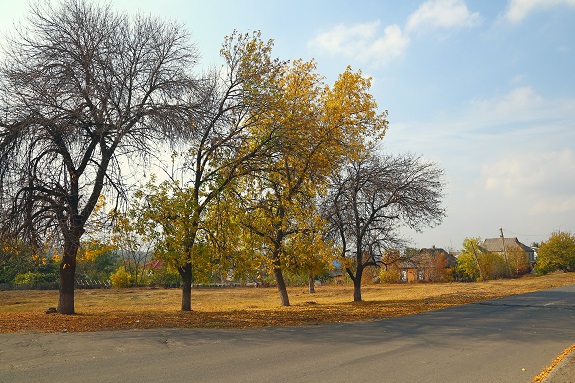 Zhizn na okrainah Kramatorska 137