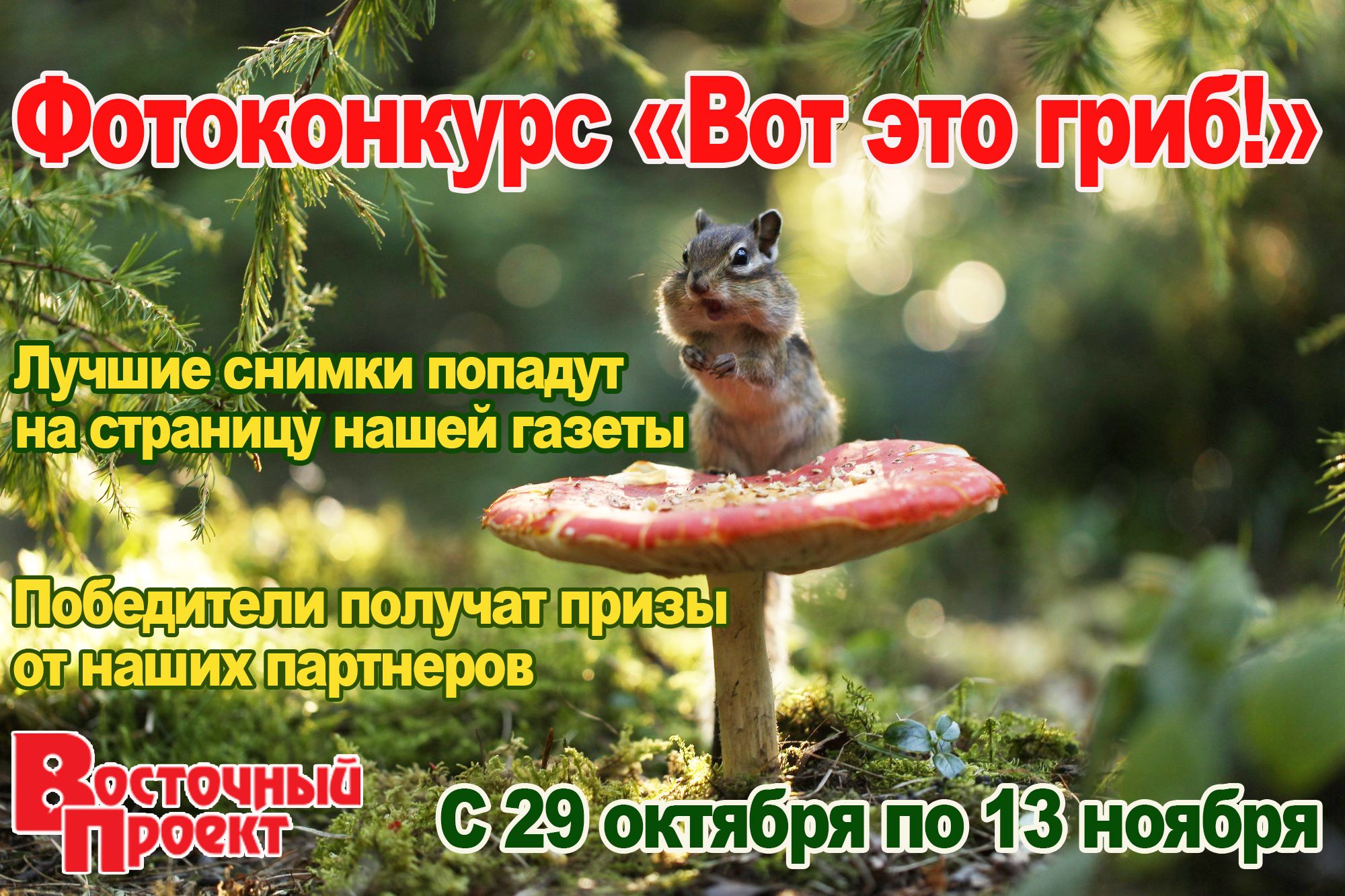 122887230 689347351999106 2752698337948835751 n