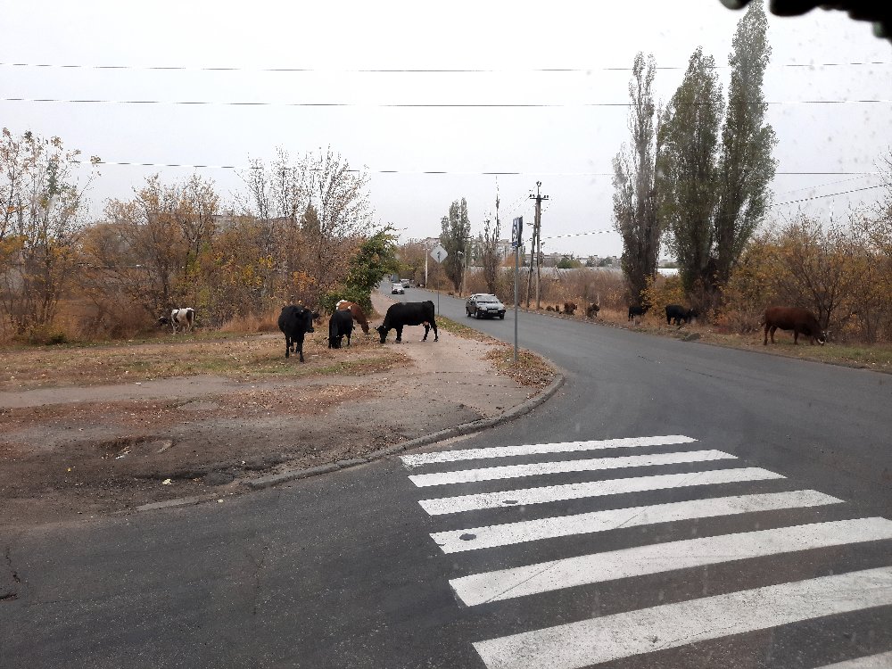 Восточный проект краматорск