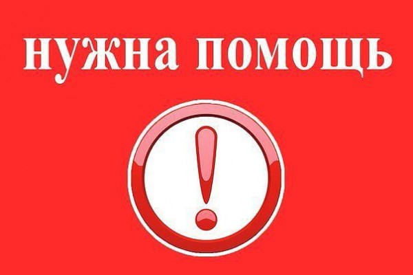 nuzhna pomoshh