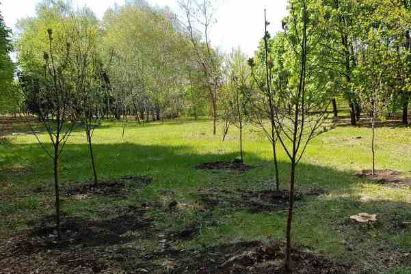 park jubilejnyj kramatorsk