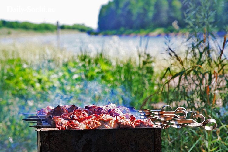piknik