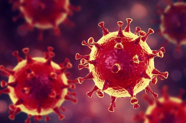 koronavirus 333