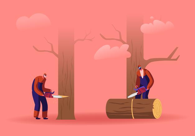 two men loggers sawing logs and trees in forest cartoon flat illustration