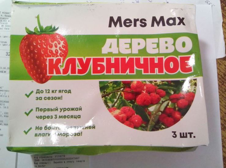 klubnichnoe derevo3 1